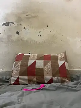 poision51 online show from November 2025 08:59:01 AM