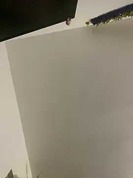 RicarBer online show from April 2026 09:34:01 PM