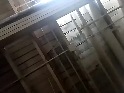 dvaughn3117 online show from February 2025 06:03:01 AM