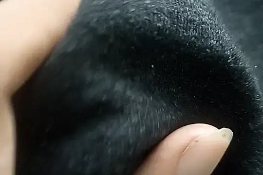 Snapshot of Telugu_sollakaya chatting on December 2024 06:43:01 PM Telugu sollakaya online show from December 2024 06:43:01 PM