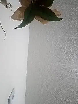 Naomy veracruz  online show from April 2026 11:04:01 AM