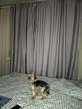 Cute Barbieee  online show from December 2024 10:08:02 PM