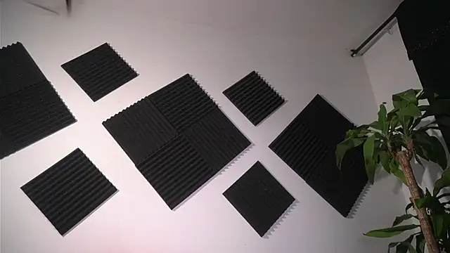 Ambeer Rousess online show from April 2026 12:27:01 AM