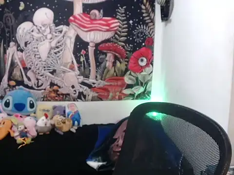 hachi kitty online show from April 2026 02:53:02 AM