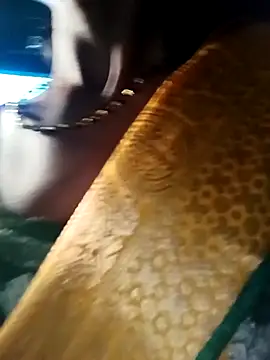 Kajal  Mehra online show from March 2026 03:39:02 AM