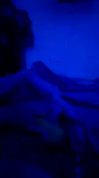 StivenSM online show from December 2024 12:52:01 PM