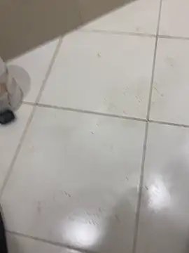 Snapshot of Lahcene chatting on February 2026 05:38:01 PM Lahcene online show from February 2026 05:38:01 PM