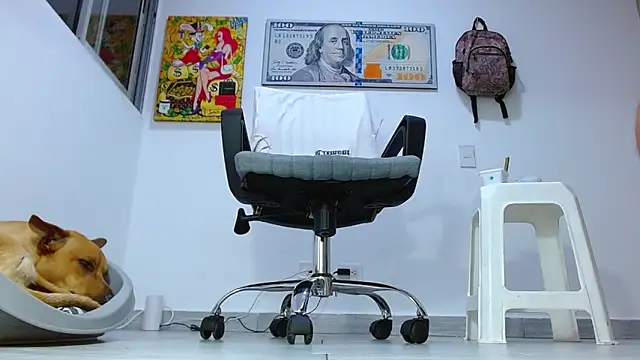 boss of cash online show from July 2026 04:26:01 AM
