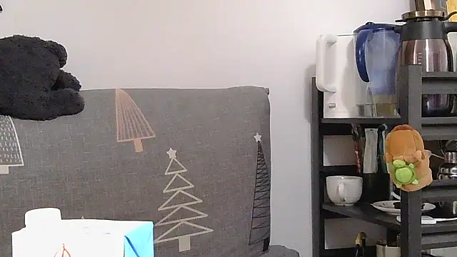 Snapshot of 866532 chatting on December 2025 01:23:02 AM 866532 online show from December 2025 01:23:02 AM