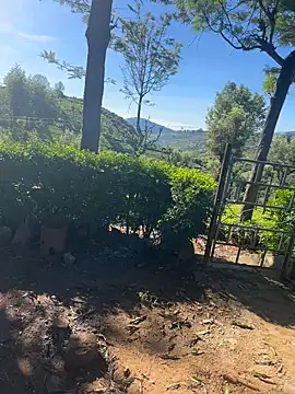 Snapshot of Hillz_king_98 chatting on February 2025 03:54:02 AM Hillz king 98 online show from February 2025 03:54:02 AM