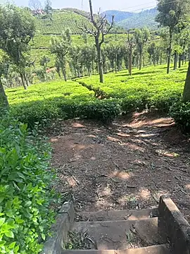 Snapshot of Hillz_king_98 chatting on February 2025 03:37:01 AM Hillz king 98 online show from February 2025 03:37:01 AM