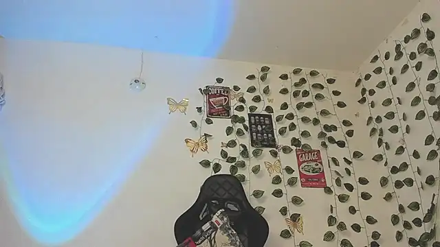 skinny dann online show from February 2025 04:12:02 AM