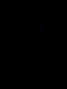 lokillo- 3000 online show from March 2025 04:13:01 AM