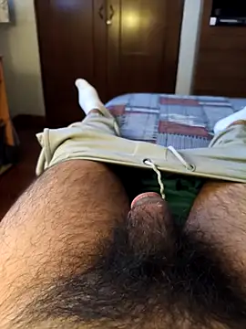 pitorico bb online show from February 2026 12:56:02 PM