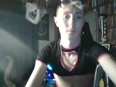 Snapshot of Slytherin-Boy009 chatting on January 2025 08:04:02 PM Slytherin-Boy009 online show from January 2025 08:04:02 PM