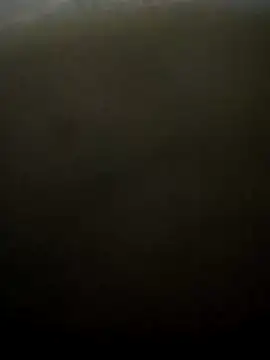 puneribull online show from March 2025 08:46:02 PM