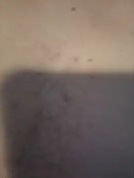 dany hardy online show from March 2026 08:36:02 PM