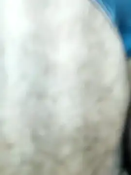 HGKNSS online show from April 2026 06:34:01 PM