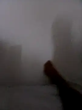 jacaranduba07 online show from March 2026 10:49:02 AM