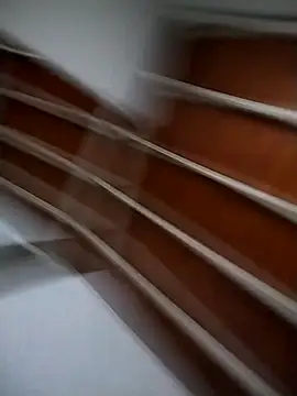 Josejotacamargo online show from March 2025 02:53:02 PM