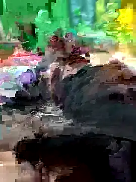 Snapshot of Raj41 chatting on February 2026 11:51:01 AM Raj41 online show from February 2026 11:51:01 AM