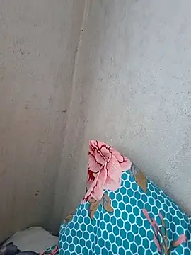 novinhatransexy online show from November 2025 05:25:02 PM