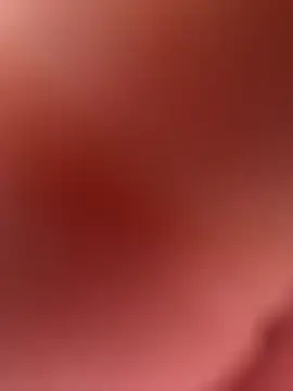 paullliliu online show from February 2026 03:44:02 PM