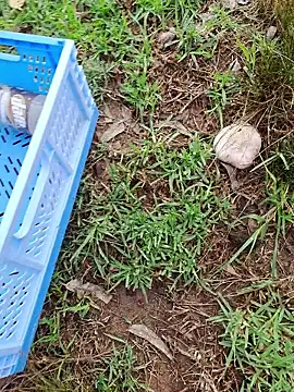 RichardHard 1 online show from January 2026 09:07:02 PM