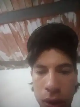 snake on online show from February 2025 02:20:02 AM