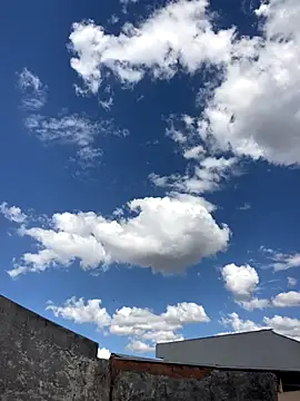 Mineirinho043 online show from November 2025 06:20:01 PM