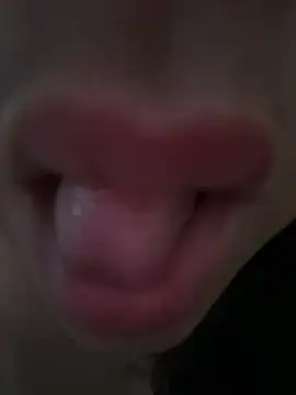 daianaspencer online show from April 2026 06:08:01 AM