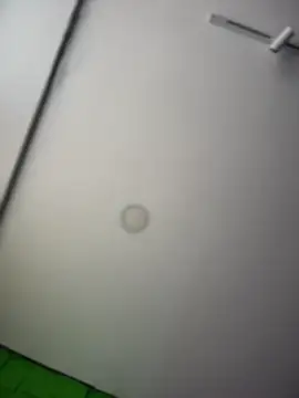 Dulce  Boyd online show from April 2026 02:17:02 PM