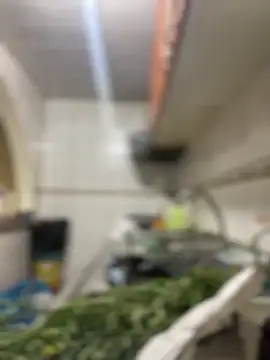 Carola-Ross online show from March 2026 05:40:01 PM