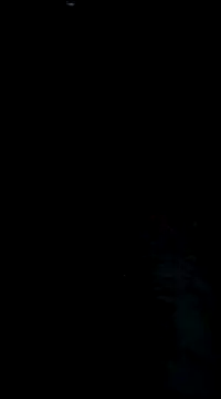 bong crave online show from March 2025 07:57:02 PM