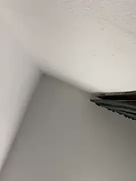 morfeoX online show from April 2026 09:35:02 AM