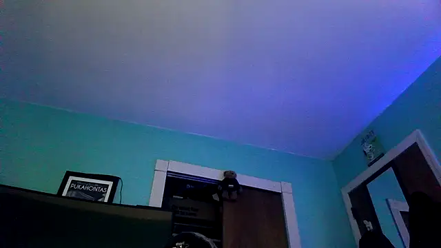 Novabear6996 online show from March 2026 11:13:01 AM