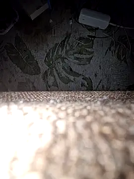 Snapshot of DerechteJunge chatting on December 2025 11:43:01 PM DerechteJunge online show from December 2025 11:43:01 PM