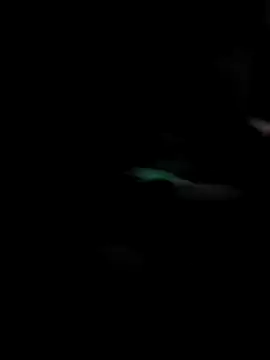 GoldenPastry20 online show from February 2026 05:17:01 PM