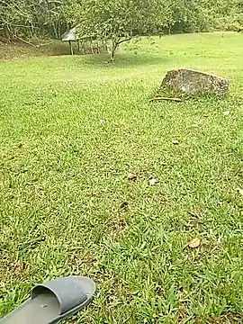 Mycansonhot online show from October 2025 04:50:01 PM