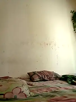 Rafi boy online show from April 2026 03:45:02 AM