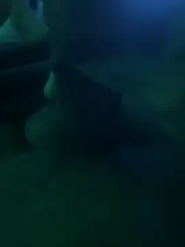 Liam Canales online show from April 2026 04:52:02 AM