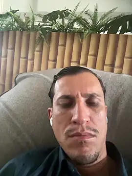 hekitor online show from February 2026 04:34:02 PM