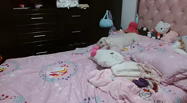 hellokitty  valery online show from March 2025 06:26:02 AM