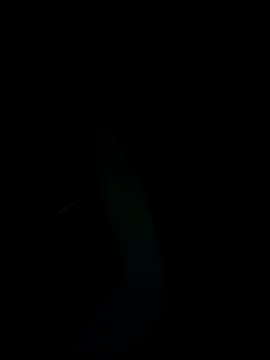 Snapshot of SunnY-0124@xh chatting on February 2025 05:47:01 PM SunnY-0124xh online show from February 2025 05:47:01 PM