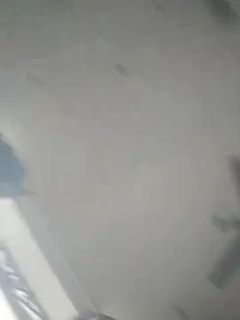 Rajkumarbigblackcockxh online show from March 2026 11:48:02 AM