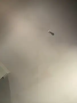 1Zoey101 online show from February 2026 01:37:02 AM