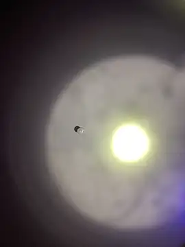 1Zoey101 online show from March 2026 09:16:02 PM