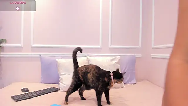 Snapshot of Lucy_Canel chatting on January 2026 07:11:01 PM Lucy Canel online show from January 2026 07:11:01 PM