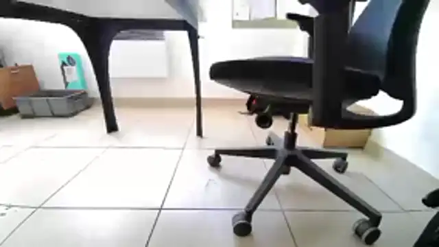 GM51-1988 online show from April 2026 04:10:02 PM