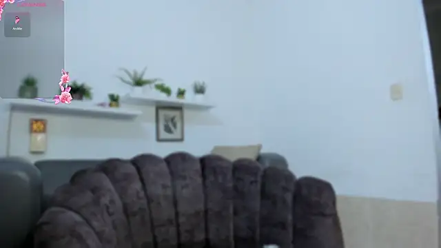 salma arabicc online show from April 2026 03:59:02 AM